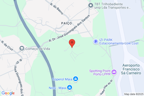 Antanio Joaquim Ferreira Meireles Nunes