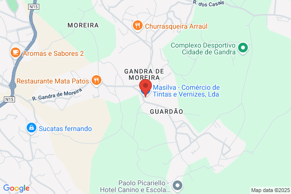 Raj Martins Silva
