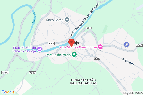 F Ribeiro Da Costa