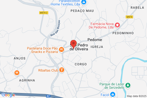 Helder A Meireles Ribeiro