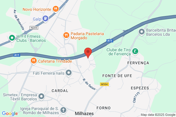 Afonso Dinis Torres