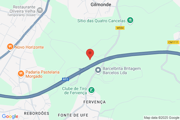 Antanio Fernando Carvalho Da Cunha