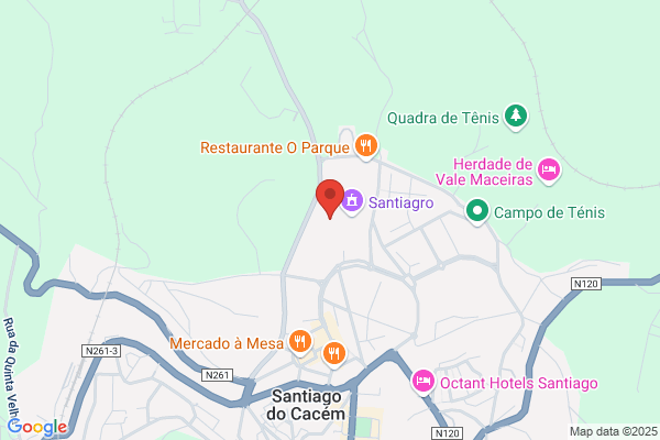 Sani-Regua De Manuel Jose Silva Marques