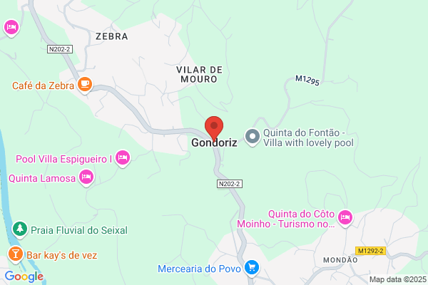 Natalina M Campos Moniz