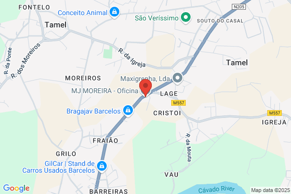 Jorge M Moreira Castelo-Branco