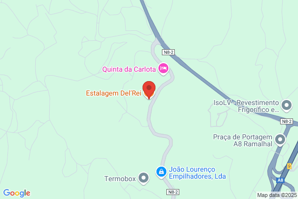 Domingos S Reis Miranda