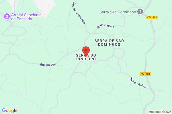 Iracema Lopes Silva