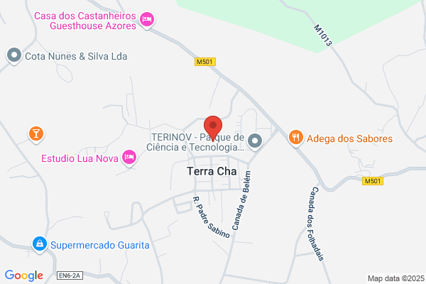 Pedro G B Gomes Teixeira