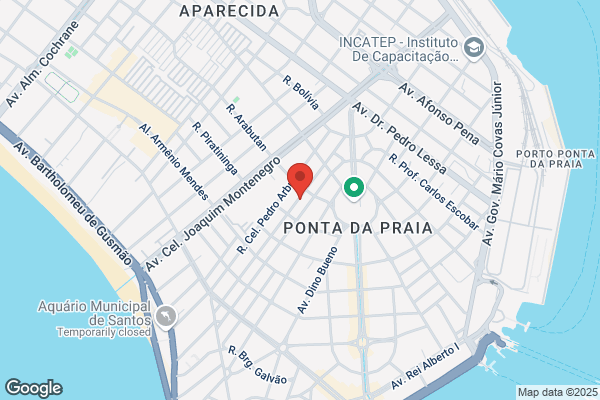 Arnaldo J Santos Ferreira