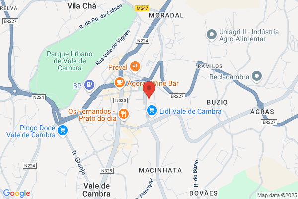 Vigues-Corretores De Seguros Lda