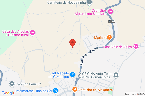 Carlos M Teixeira Ribeiro