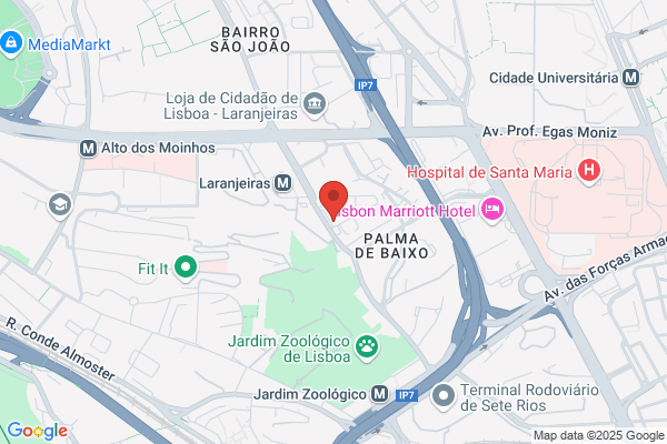 Espingardaria Avenida