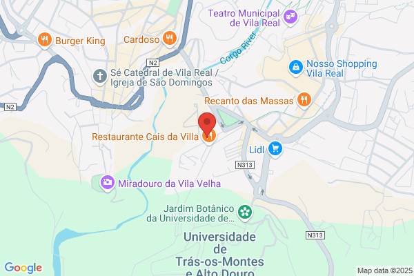 Maria A F Leite Sousa