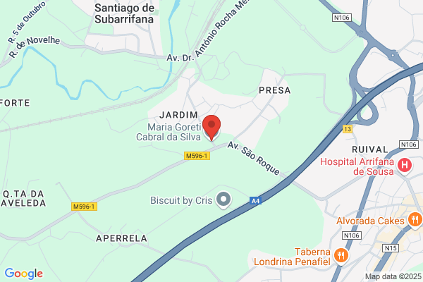 Sandra M Morais Leal