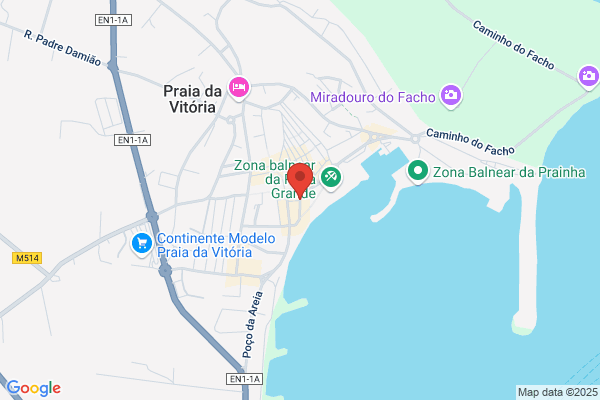 Partido Social Democrata-Psd