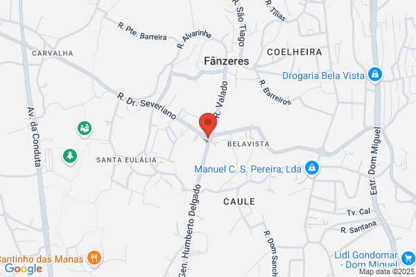 Abade De Fânzeres
