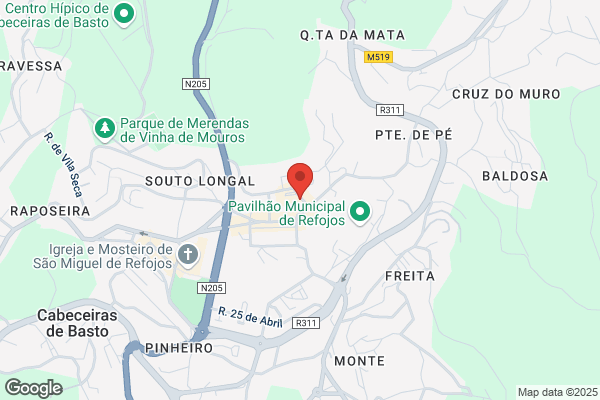 Maria L B Ribeiro Pacheco