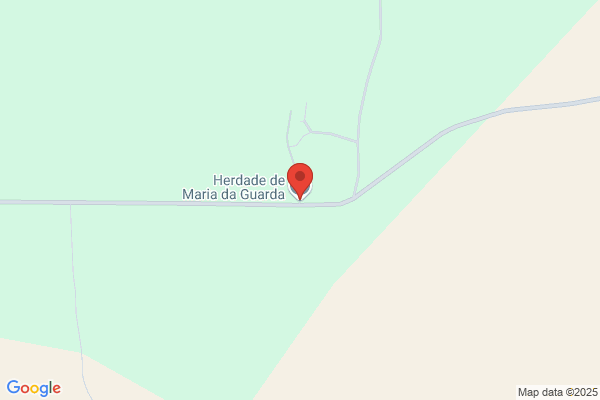Maria P S Martins Gonlves