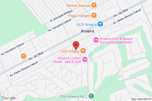 Magnus-Icon Lda
