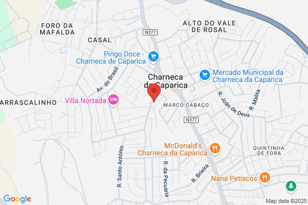 Maria L O Poim Tavares