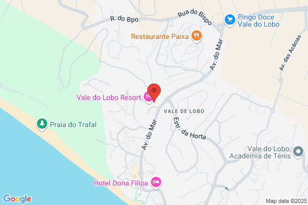 Alenlogica-Informica E Servió Lda
