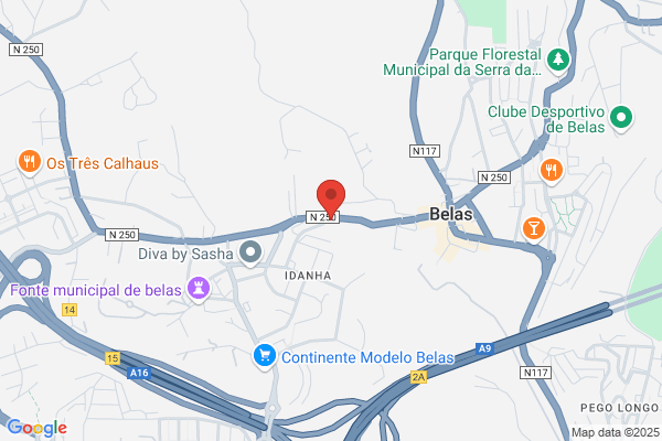 Delfim Silva Benfeitas