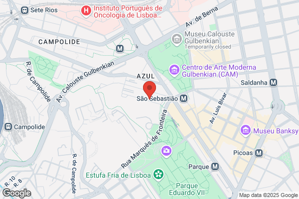 Paula A A Monteiro Martins
