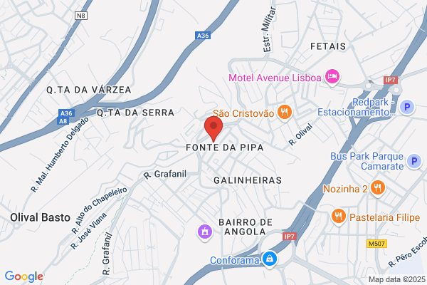 A Resistencia-Cooperativa Operaria Metalurgica Ligeira. Crl