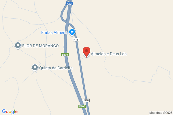 Almeida Sucrs. Lda