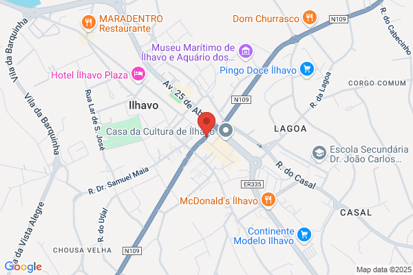 Maria G Sousa Teixeira