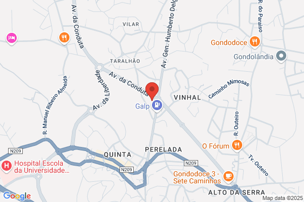Adelina L Alves Santos