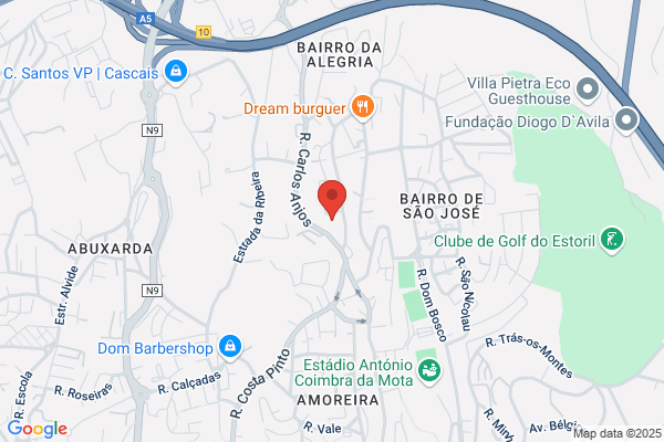 Odete M D Mendonça Alves