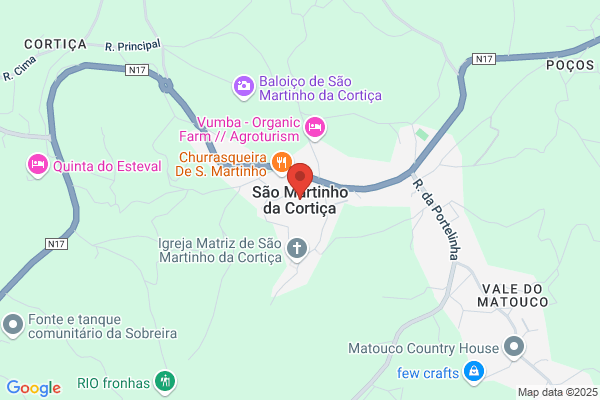 Margarida M Castanheira Santos