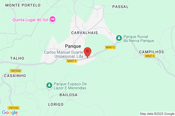 Carlos Manuel Duarte Lopes