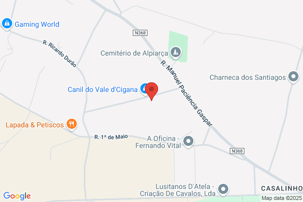 Viuva De Raul Pereira & Filha. Lda