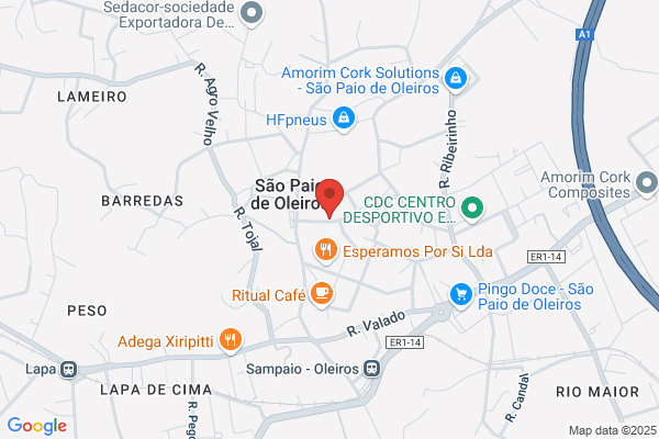 Nuconta-Consultoria E Gestao De Empresas. Lda