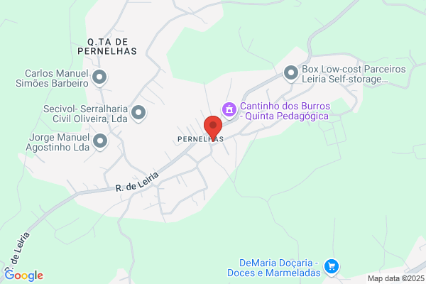 Adelino Jesus Ferreira