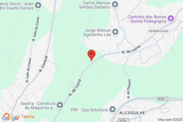 Bento C Ribeiro Machado