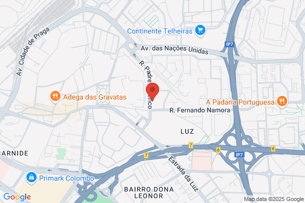 Luís F P B Gomes Neves