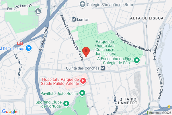 Silva Ramos-Mediador De Seguros Lda,a M L
