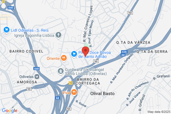 Daniel B Carvalho Vera-Cruz