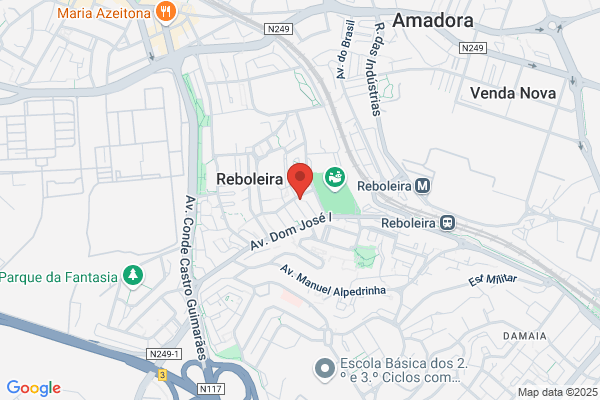 Dulcineia C Jesus Ribeiro