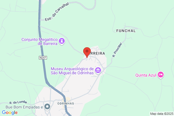 Transportes Manuel F Fernandes. Lda