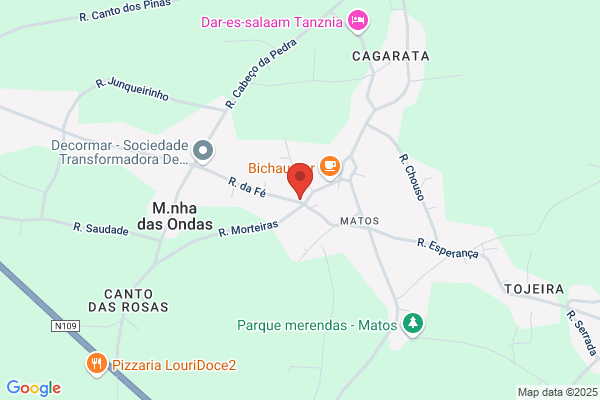 Empresa De Transportes Manuel Henriques Machado. Lda