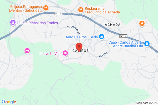 Transportes Adolfo Guerra. Lda