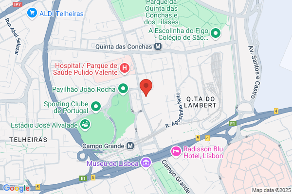 Domingos Da Silva Lda