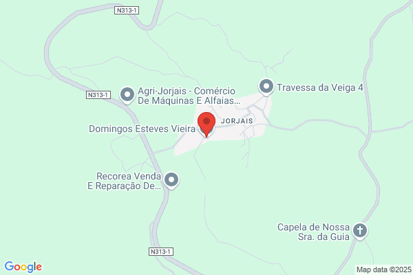 Domingos S Esteves Lda
