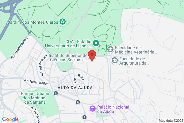 Instituto Superior De Ciencias Sociais E Poleticas