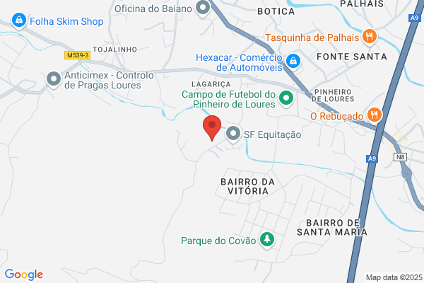 Industria E Comercio De Carnes Da Miola. lda