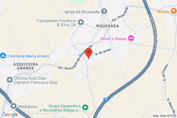 Susana S Gréo Raposo
